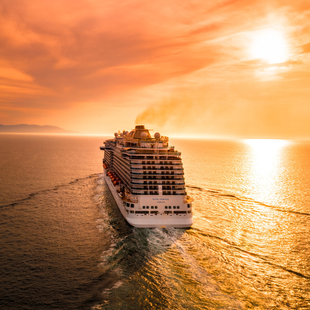 Freedom Travel